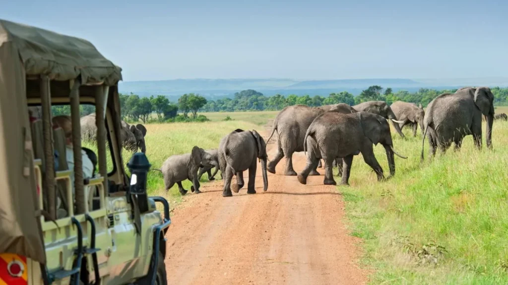 15-Day Uganda Game Drives Safari