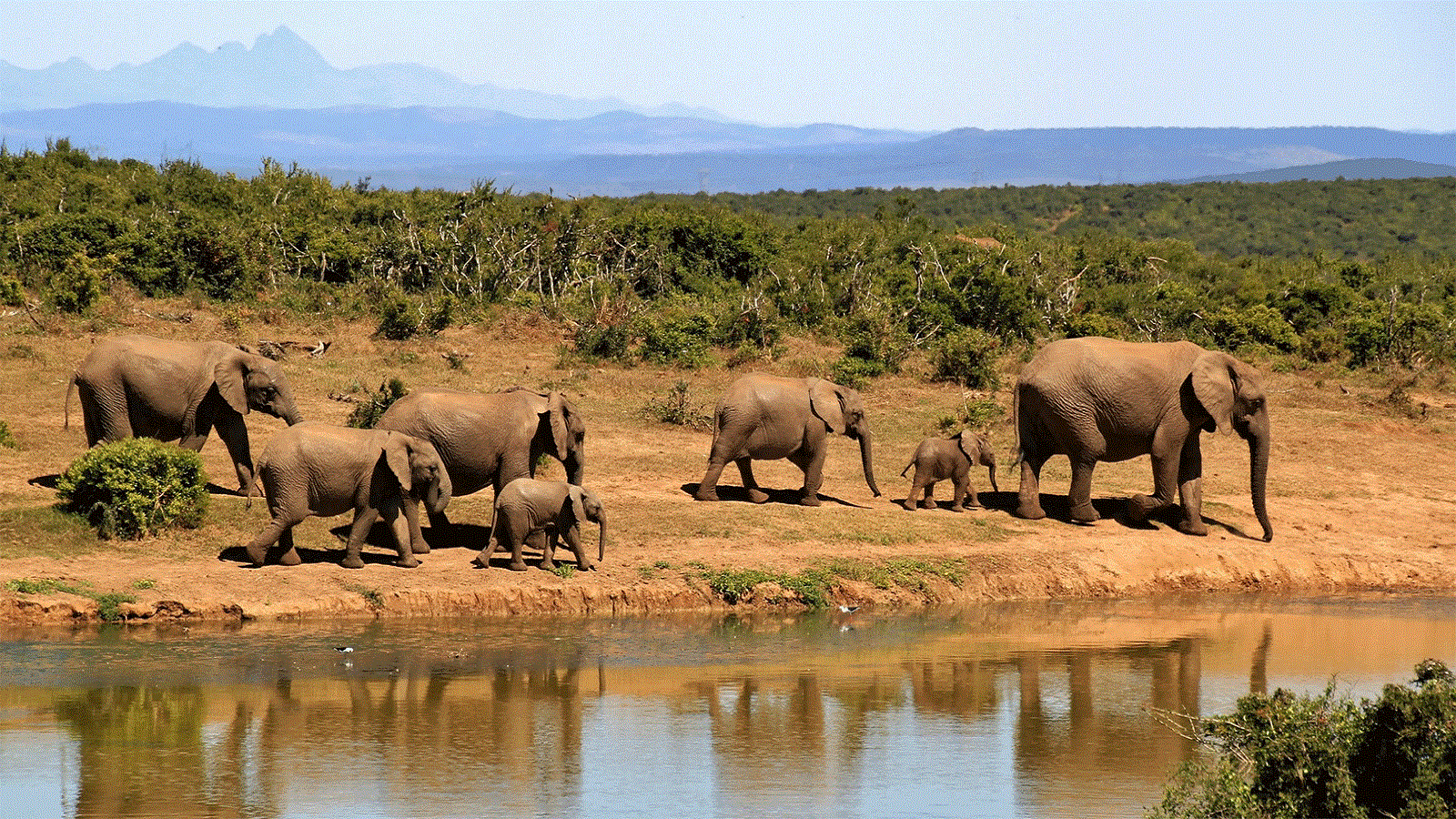 5-Day Kidepo Valley, Pian Upe & Sipi Falls Safari
