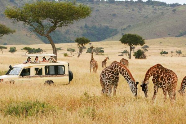5-Day Kenya Wildlife Budget Safari 5-Day Kenya Wildlife Budget Safari