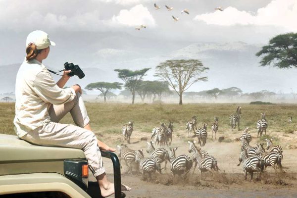 6-Day Majestic Tanzania Wildlife Luxury Safari, 6-Day Majestic Tanzania Wildlife Luxury Safari