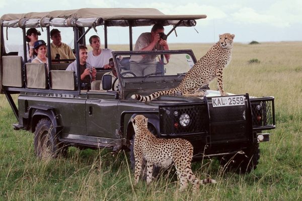 9-Day Unforgettable Kenya Game Drive Safari 9-Day Unforgettable Kenya Game Drive Safari