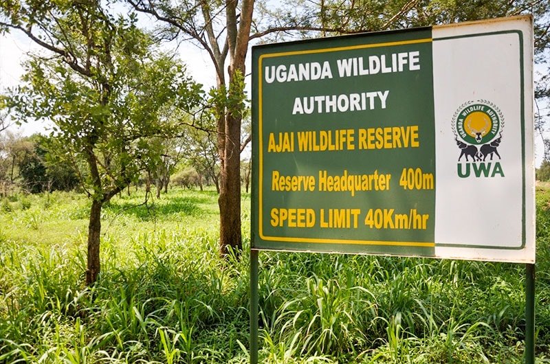 Ajai Wildlife Reserve Safari Guide
