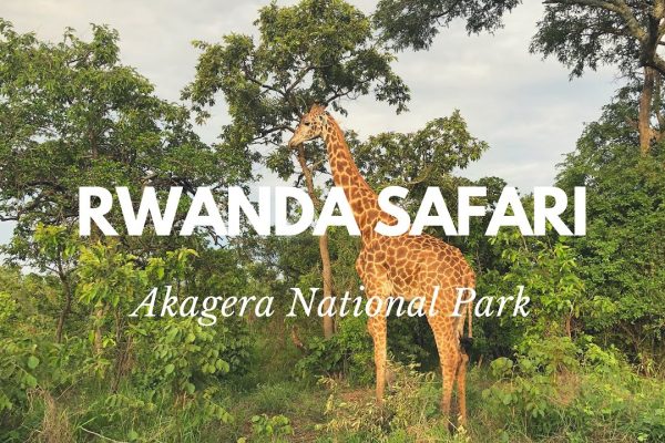 Akagera National Park Rwanda Akagera National Park