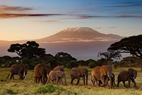 Amboseli National Park1 Amboseli National Park