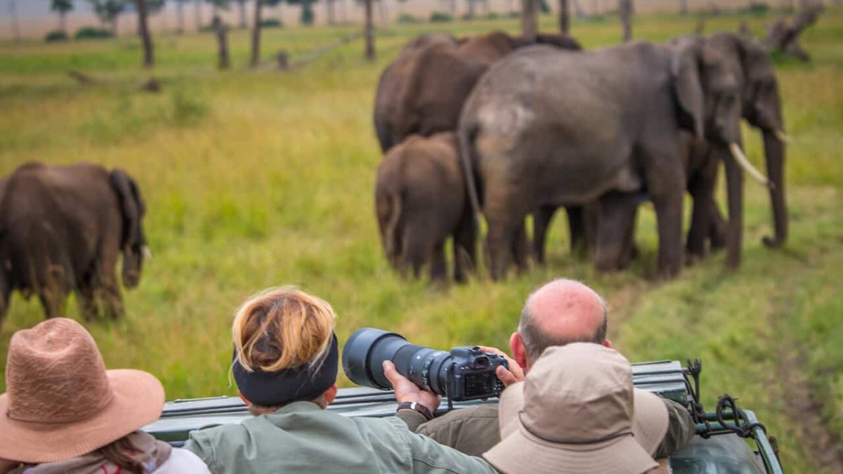 Short Rwanda Safaris