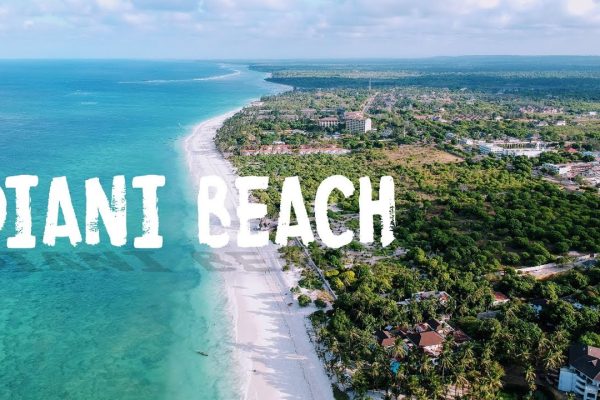 Diani Beach – Paradise on Kenya’s Coast Diani Beach – Paradise on Kenya’s Coast