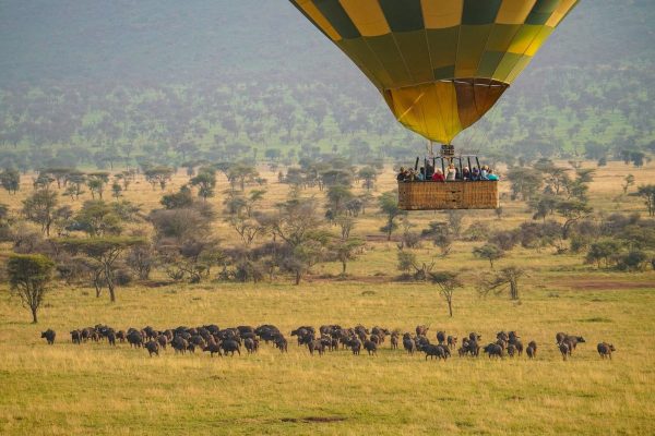 Hot Air Balloon Safari