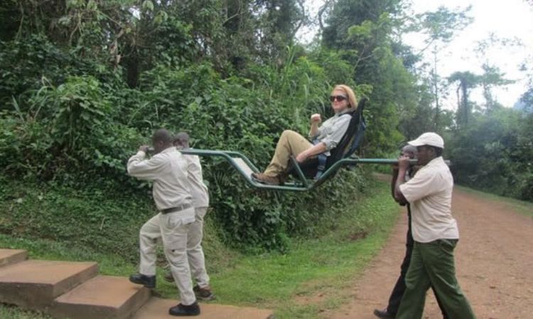 Gorilla Trekking Made Easy