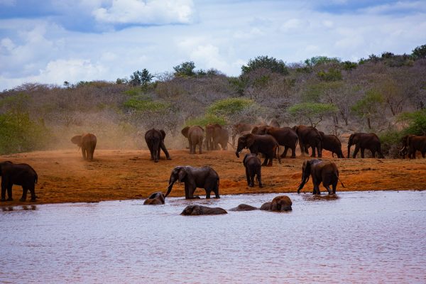 Tsavo West National Park Tsavo West National Park