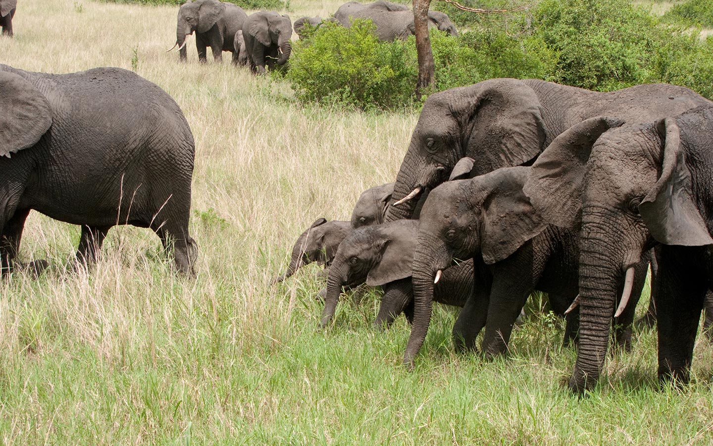 Toro-Semliki Wildlife Reserve