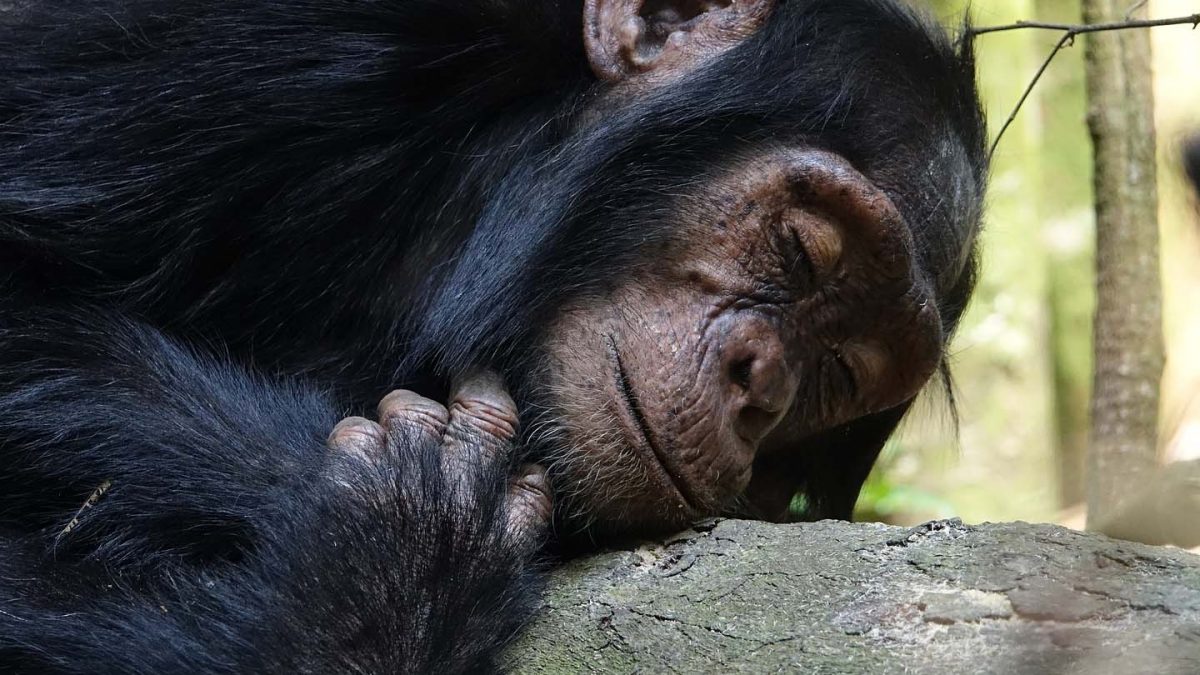 Rwanda Holiday Adventure