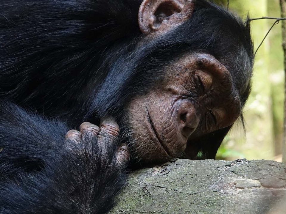 Rwanda Holiday Adventure