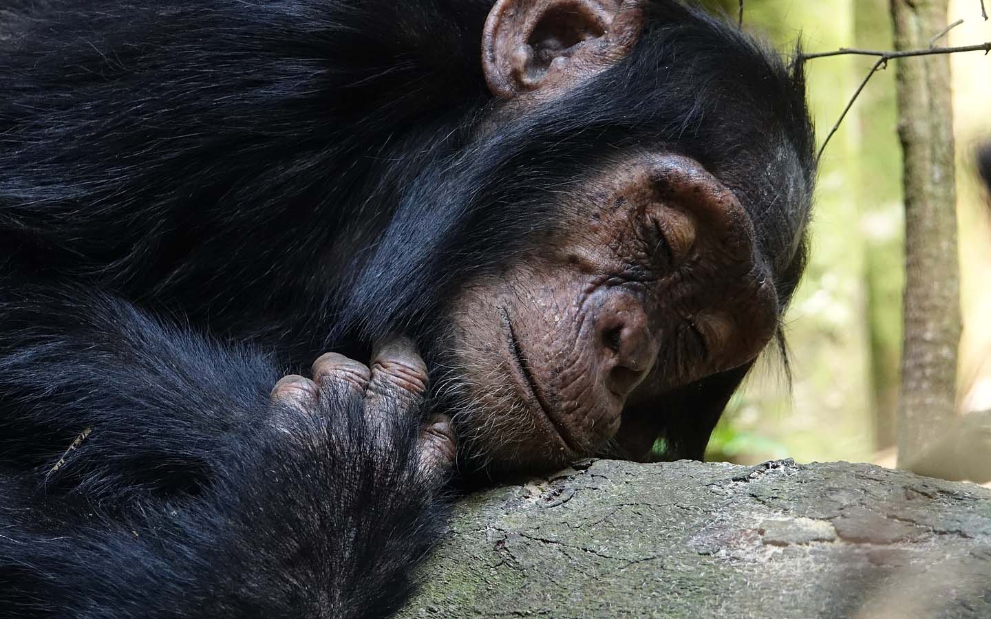 Rwanda Holiday Adventure