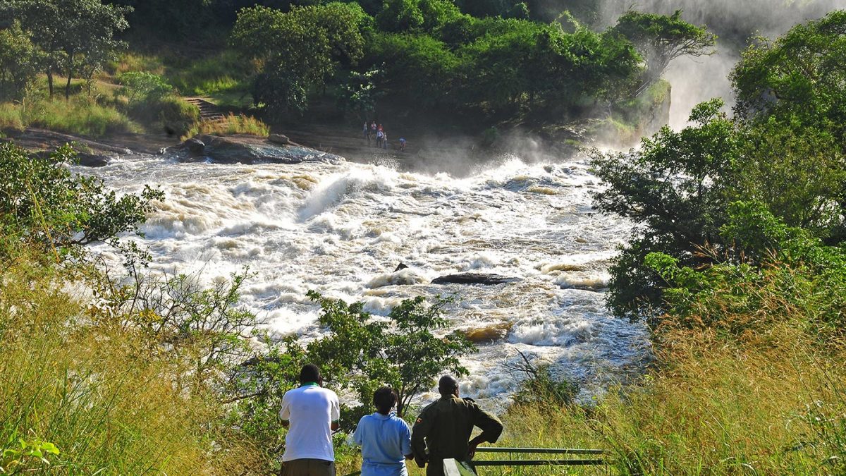 Best Time to Visit Murchison Falls