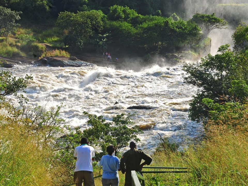 Best Time to Visit Murchison Falls