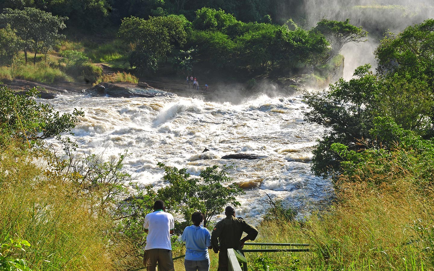 Best Time to Visit Murchison Falls