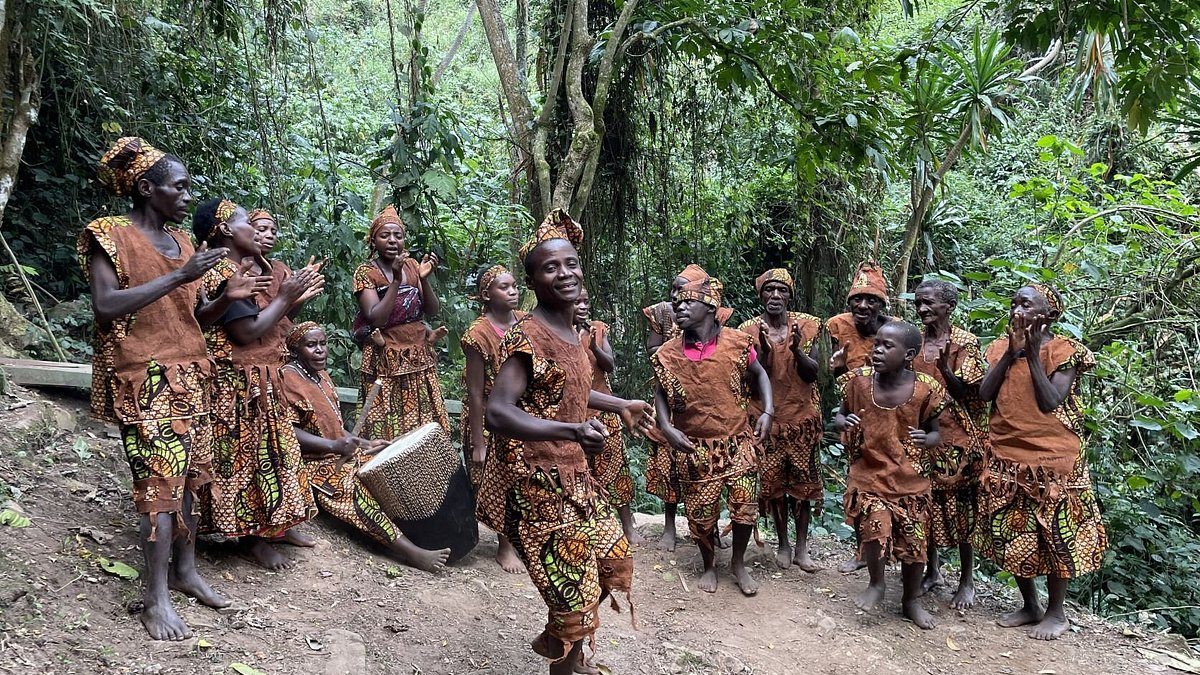 How to Plan a Gorilla Trekking Safari With Kids