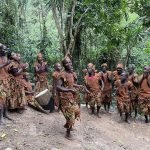How to Plan a Gorilla Trekking Safari With Kids