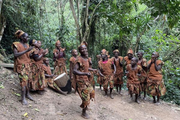 How to Plan a Gorilla Trekking Safari With Kids How to Plan a Gorilla Trekking Safari With Kids