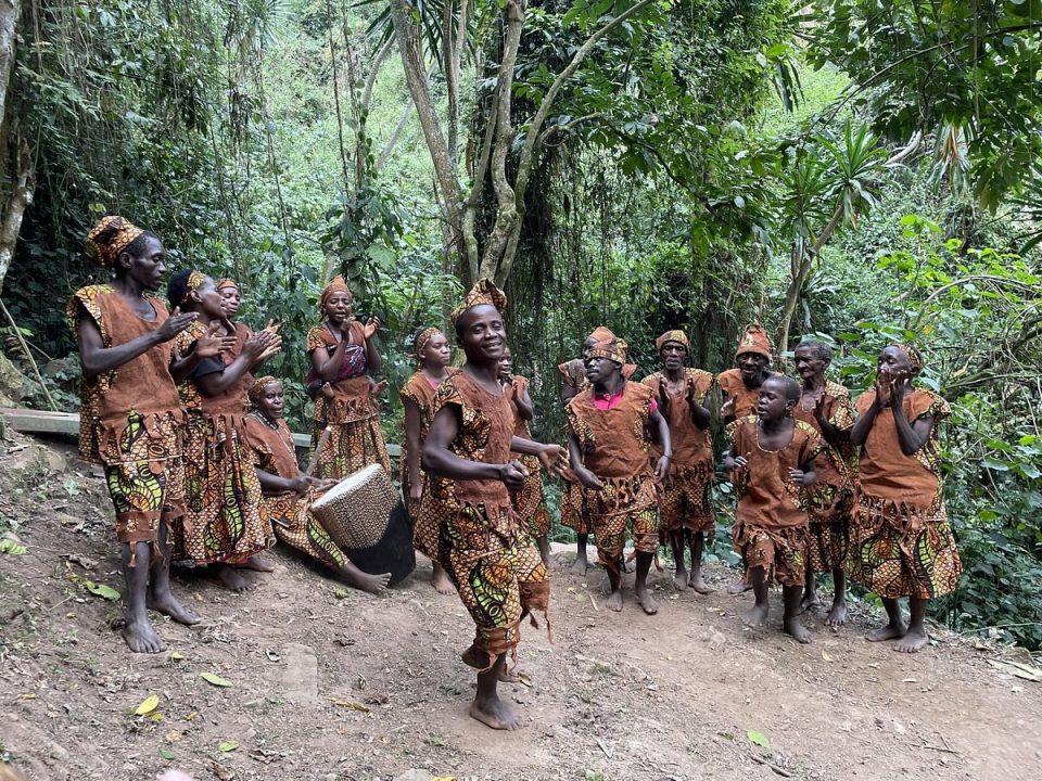 How to Plan a Gorilla Trekking Safari With Kids